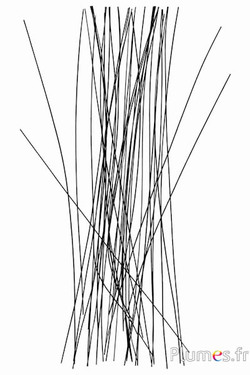 Metallstifte - Ø 0,2 mm, Länge 30 cm - schwarz